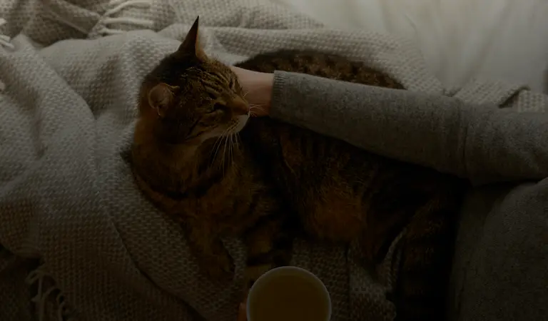 Der Möbel Katalog von Natura Home